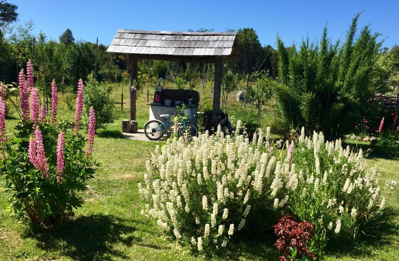 Cabanas Chiloeislife Countryside Castro Zewnętrze zdjęcie