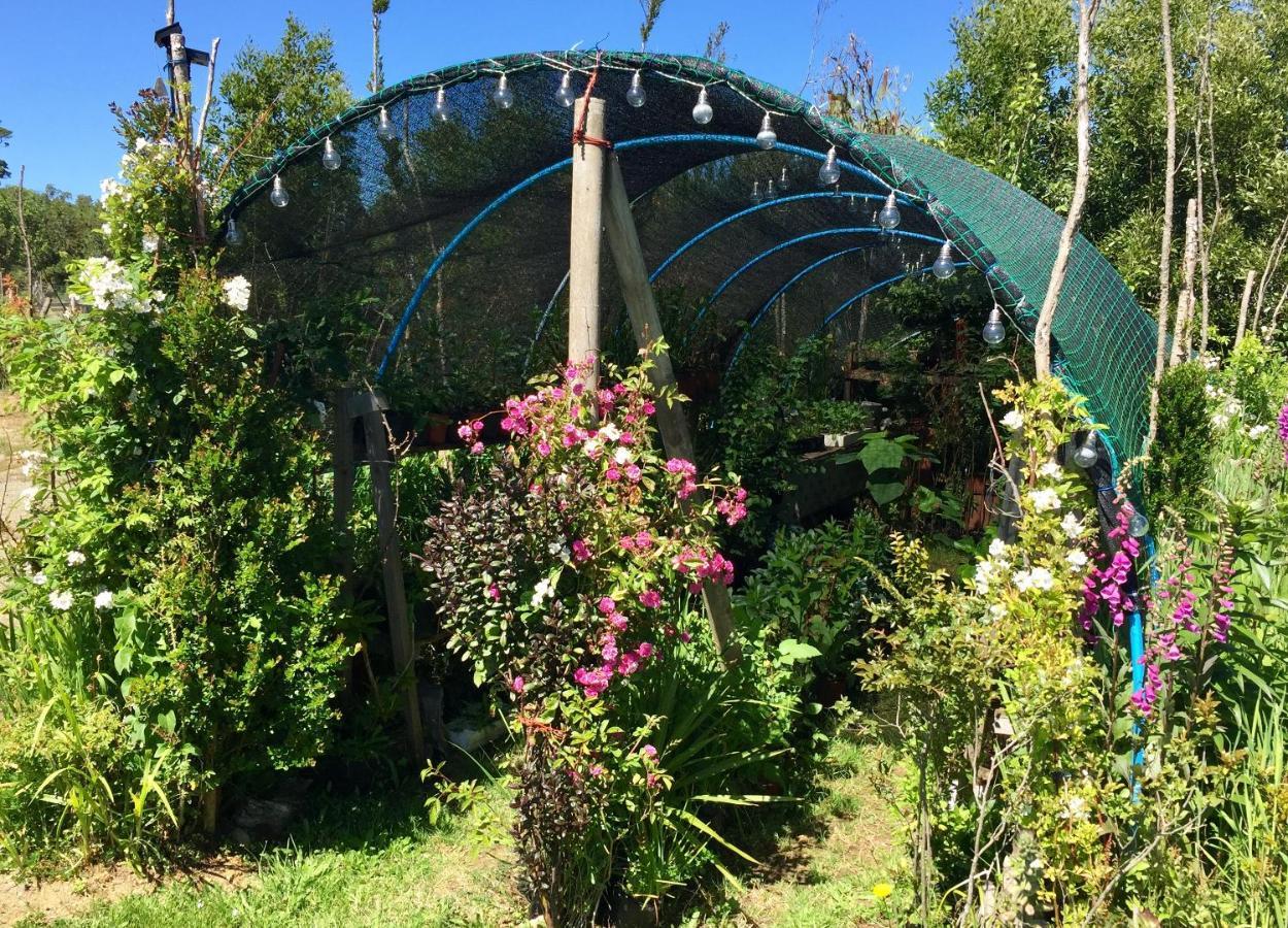 Cabanas Chiloeislife Countryside Castro Zewnętrze zdjęcie